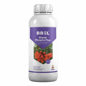 Bharat Phospho Plus