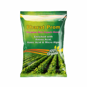 Bharat Prom