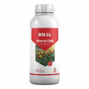 Bharat CMB