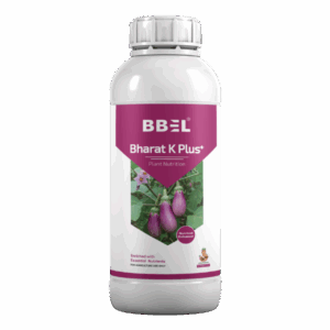 Bharat K Plus+