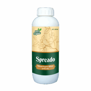 Spredo